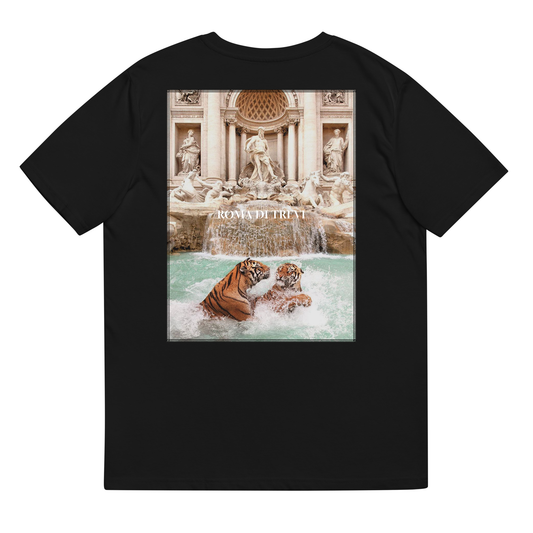 ICON / ROMA DI TREVI